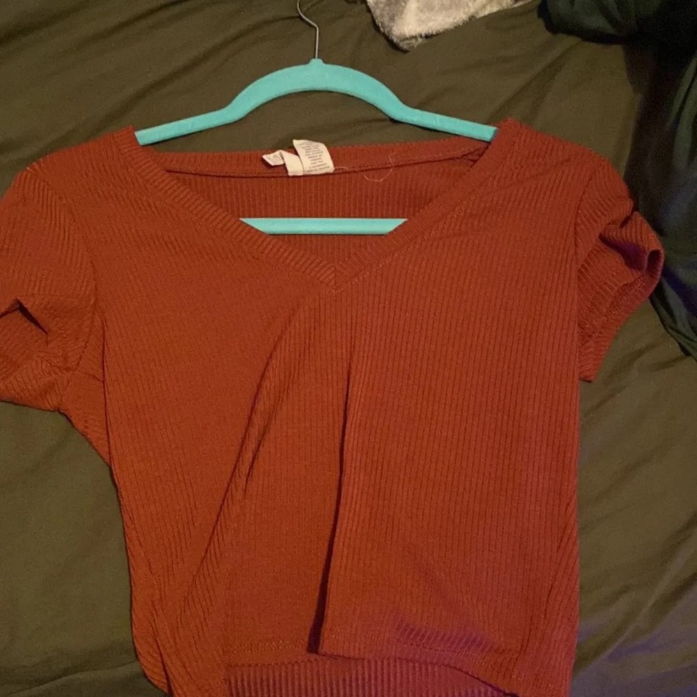 Brick Red Crop Top